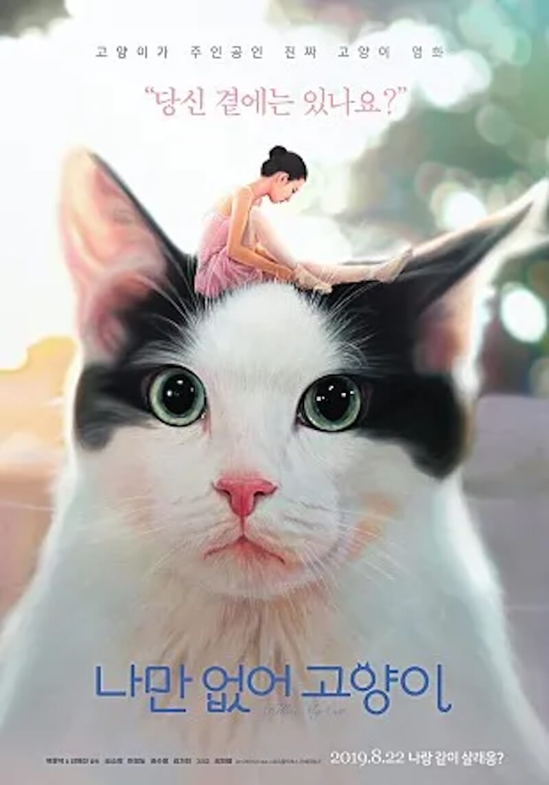 私と猫のサランヘヨの画像